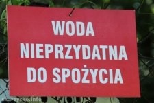 Woda ze źródełka przy ul. Gajowej nieprzydatna do spożycia