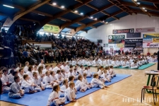Skarżyscy karatecy wywalczyli 20 medali
