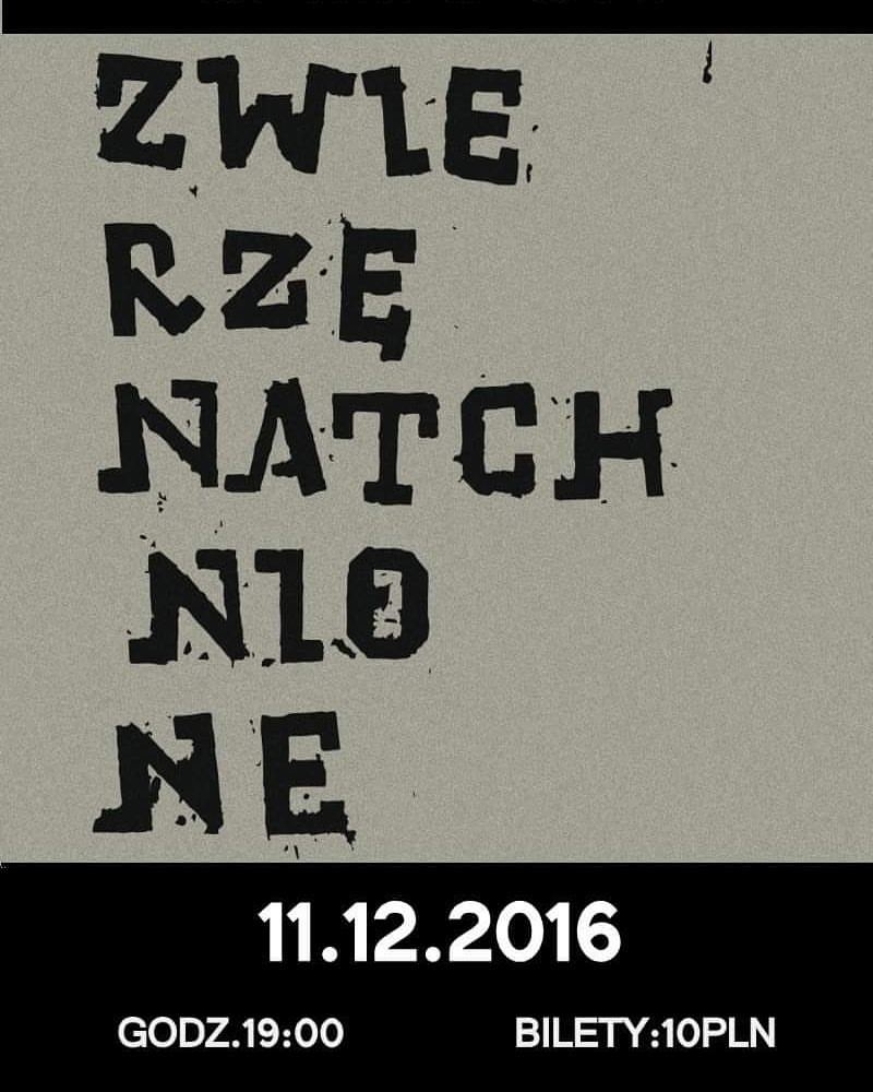 Zwierzę Natchnione – koncert – Klub Semafor – 11.12.2016